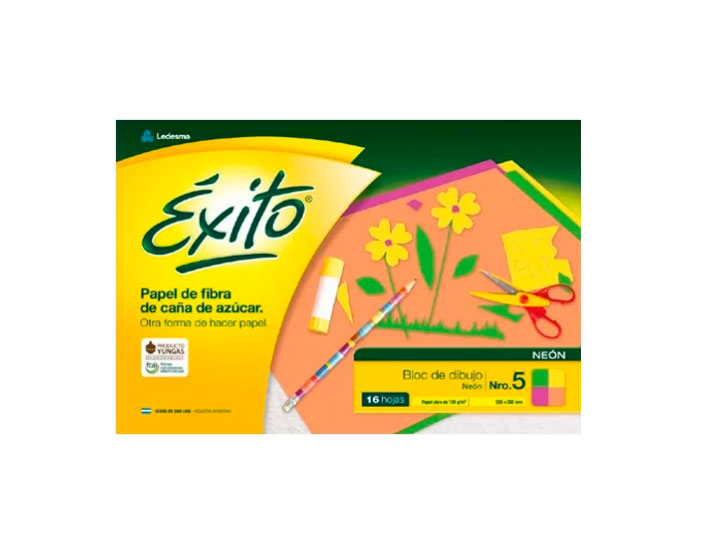 BLOC DIBUJO Nº5 ÉXITO NEON 16H LISO 60U