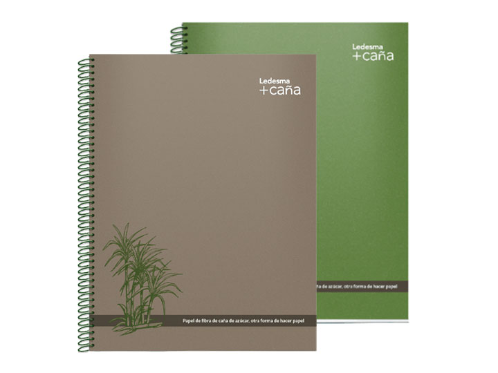 CUADERNO ESPIRAL 22X29 L+CAÑA T/PP 84H RAYADO 40U