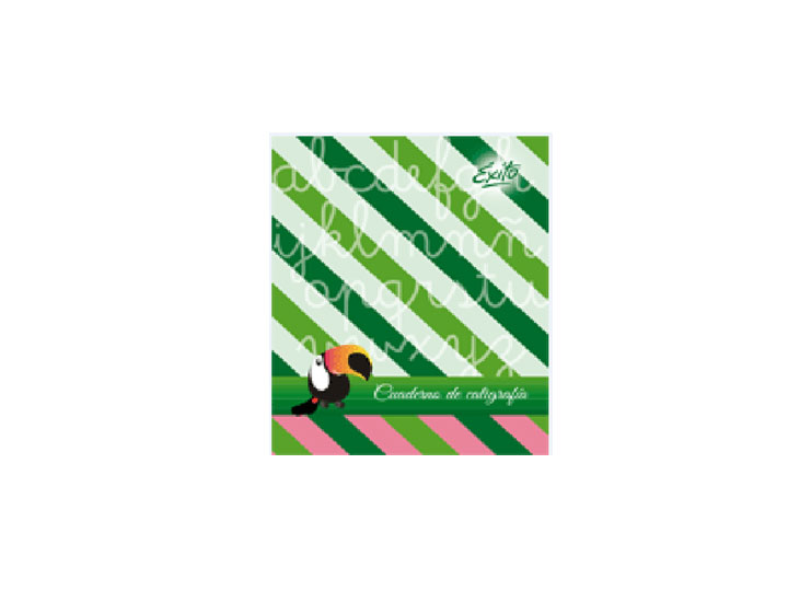 CUADERNO TAPA FLEXIBLE 19X24 ÉXITO CALIGRAFIA 24H 